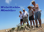 Nov 2006 in der Namib, toller Himmel. Nov 2006 in der Namib, toller Himmel.