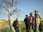 Flaschenbaum und Familie, bei Palmwag Flaschenbaum und Familie, bei Palmwag