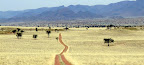 Landschaft bei Wolwedans, im NamibRand Reservat Landschaft bei Wolwedans, im NamibRand Reservat