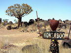 Kokerboom ist der Köcherbaum. Kokerboom ist der Köcherbaum.