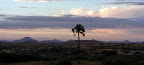 Die Skyline im Damaraland, Palmwag. Die Skyline im Damaraland, Palmwag.