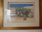 No 4 Turksvye in Karoo N$ 4 750 No 4 Turksvye in Karoo N$ 4 750