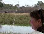 On the Kwando river we see this.