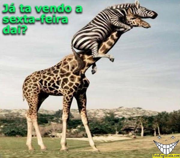 T� vendo a Sexta-feira?