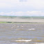 _D304954.JPG