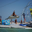 DSC_0071.jpg DSC_0071.jpg
