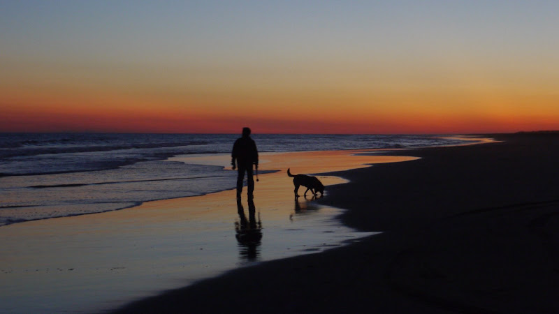 Emerald Isle NC - Man & Dog at Sunset over ocean