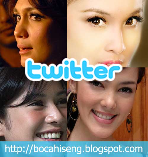 twitter artis indonesia