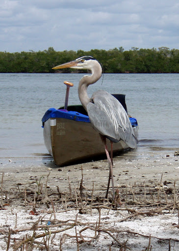 Spencer Canoe Company
