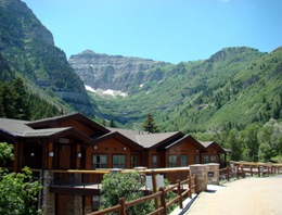 Aspen grove 2009 009