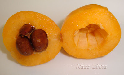Nêspera