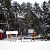Baumfällarbeiten 004.jpg