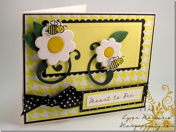 Meant-to-Bee-STVCCTG6