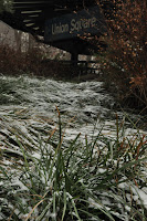 DSC_0026.JPG