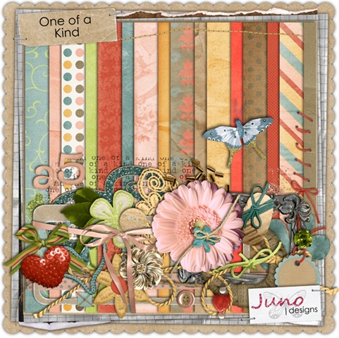 [juno_oneofakind_preview[3].jpg]