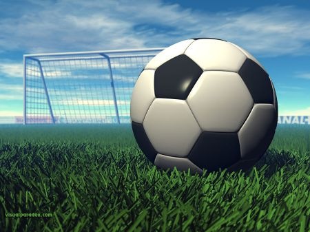 [pallone2[2].jpg]