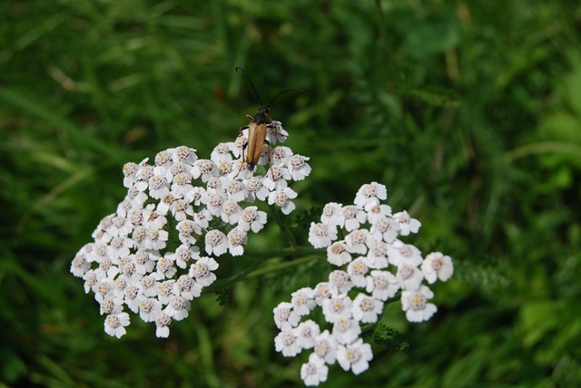 [2009-08-11 007[12].jpg]