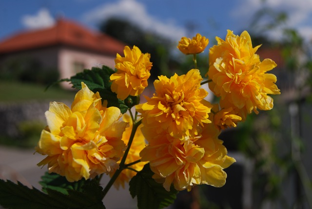 [2009-08-17 075[5].jpg]