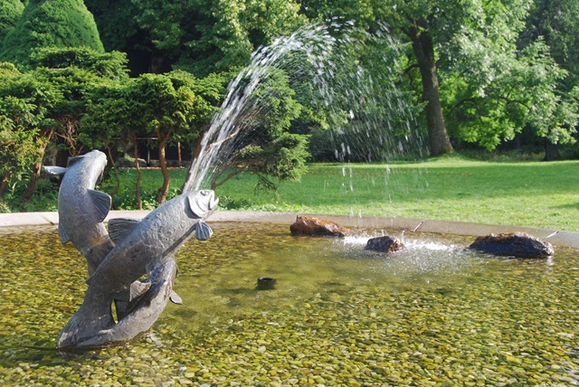 [2009-08-24 047[4].jpg]