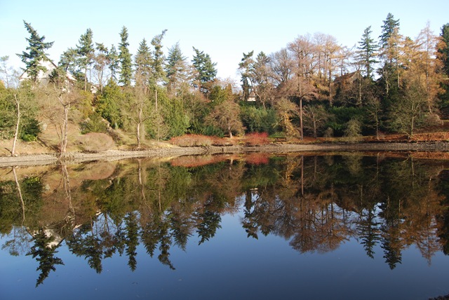 [2009-11-22 004[2].jpg]