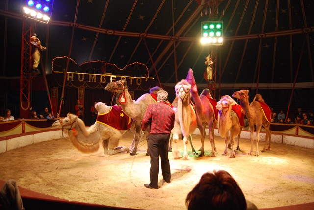 [2009-11-08 039[3].jpg]