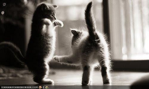 [caption-this-picture-21[1].jpg]