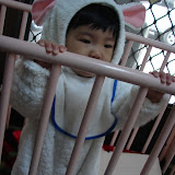 DSC06883.JPG