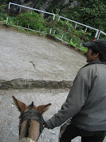 Atop a mule with my mule-wala, on the way up to Yamunotri Temple.