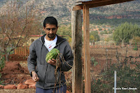 Fresh watermelon - Sedona, AZ