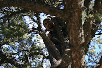Rishi the monkey - Williams, AZ