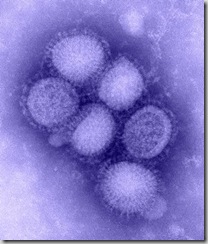 B00528_H1N1_flu_blue_med
