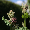 IMG_2643.jpg