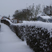 DSC00339.JPG