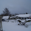 DSC00330.JPG