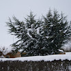 DSC00352.JPG