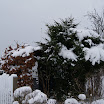 DSC00354.JPG