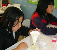 TCC-valparaíso.jpg