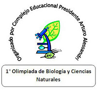 OLIMPIADAS_CEPAA.jpg
