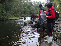 Conociendo los Servicios Ecosistémicos del Río Pescado.jpg