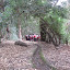 Dia de la Tierra en Bosque Santiago 032.jpg