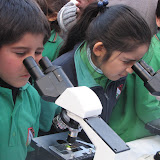 I Feria de Ciencias Nivel Inicial