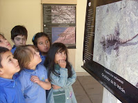 S7302883.JPG