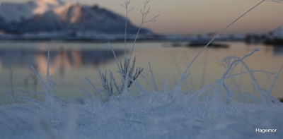 IMG_7719-2
