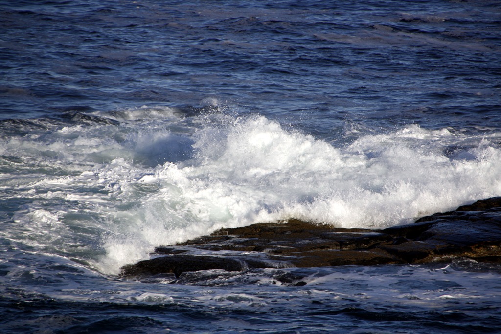[_MG_07525.jpg]