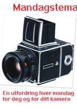 [mandag[3].png]