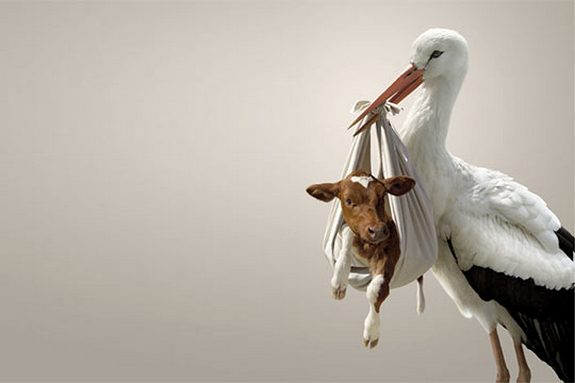 Фотоманипуляции.