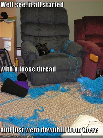 [cat-has-unraveled-all-your-thread[4].jpg]