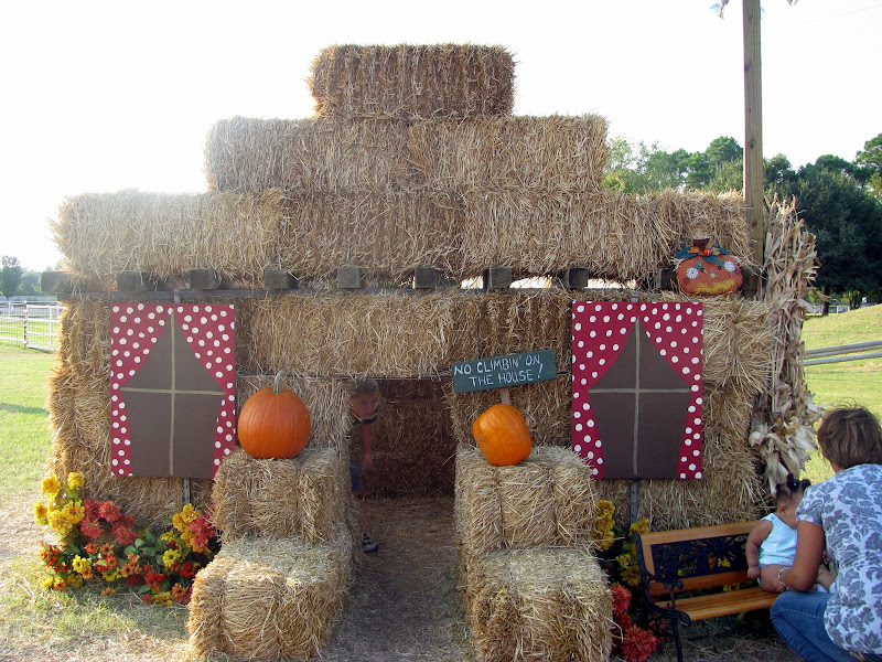 Pumpkin_Patch_08-08.jpg