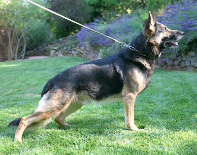 Booker vom Farbridge Profile