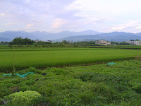 DSC02091.JPG Photo